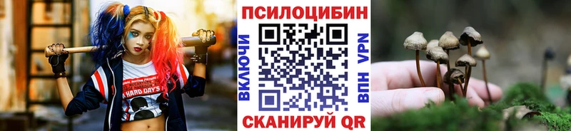 Псилоцибиновые грибы Psilocybe  Магас 